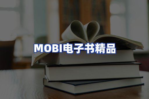 外文电子书产品